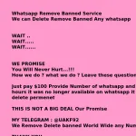 Whatsapp Ban Service